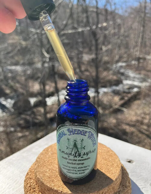 Immunity Syrup (1oz) - Organic / Wildcrafted - Handmade in Appalachia