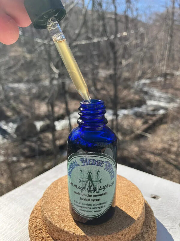 Immunity Syrup (1oz) - Organic / Wildcrafted - Handmade in Appalachia